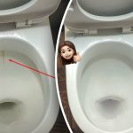 En produkt kan göra toalettstolen vitare och få den att