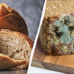 Varför bröd blir mögligt och om du kan skära bort